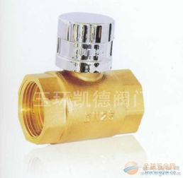 磁性管道锁闭阀 品牌 磁性管道锁闭阀 采购 图片 批发