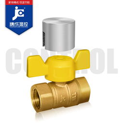精成温控 燃气锁闭阀