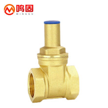 【锁闭阀】价格_图片_品牌_怎么样-